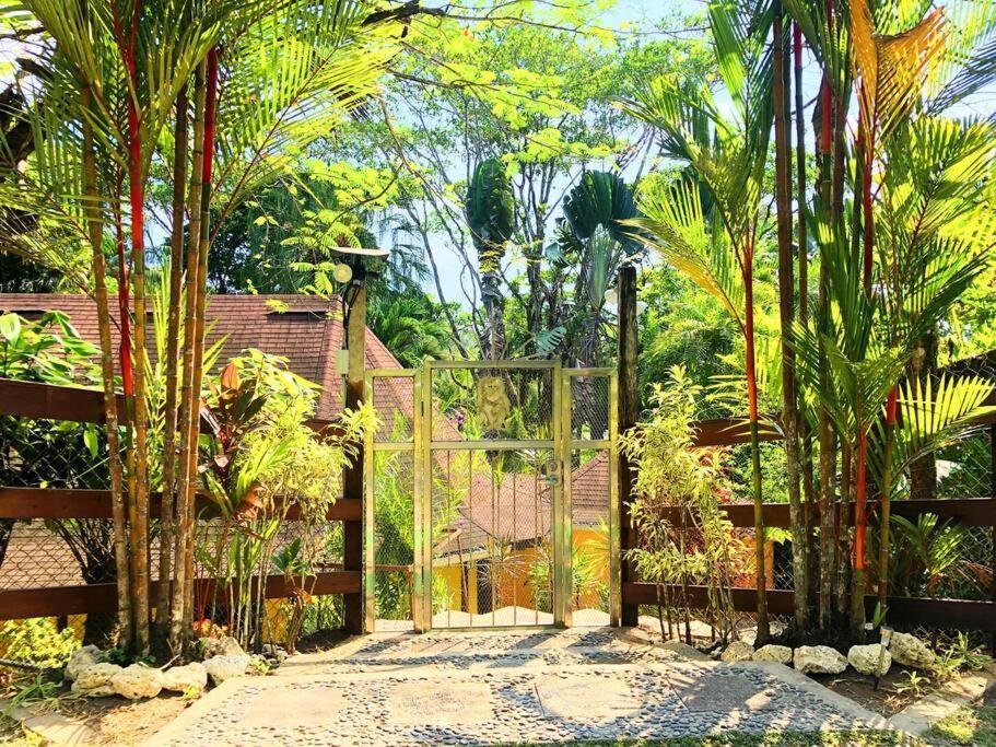 Villa Del Idaan Bocas del Toro Buitenkant foto